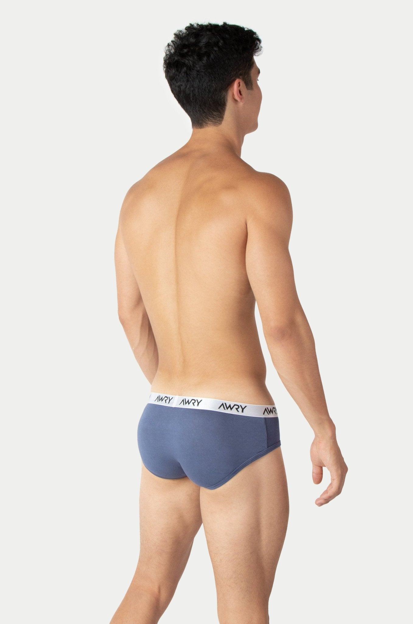 SIGNATURE Briefs - Stone Blue - AWRY