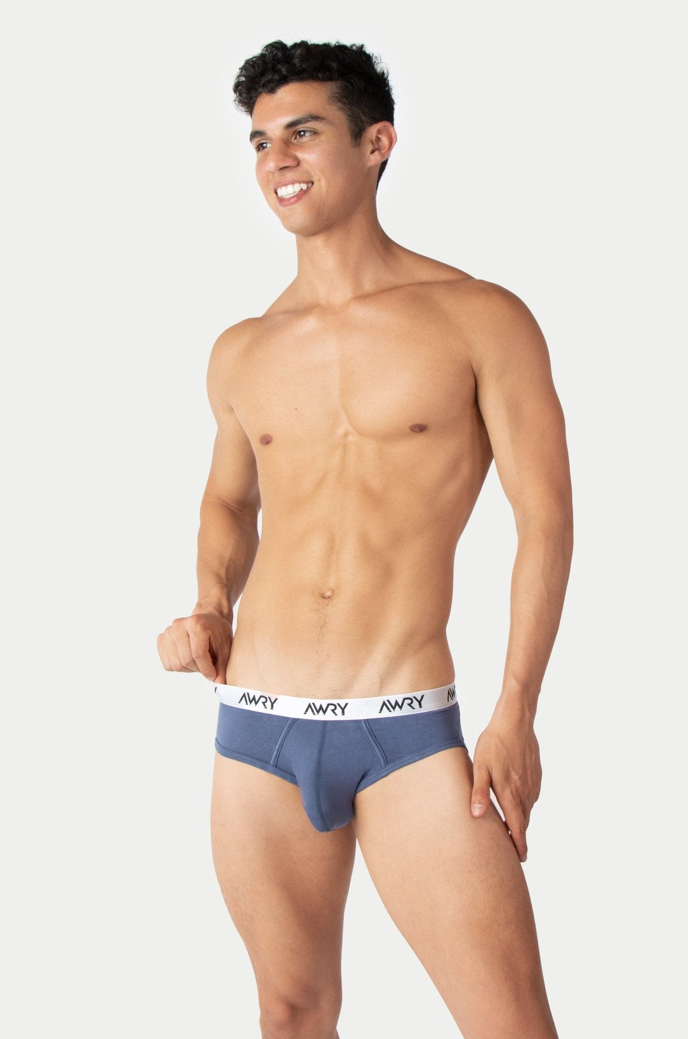 SIGNATURE Briefs - Stone Blue - AWRY