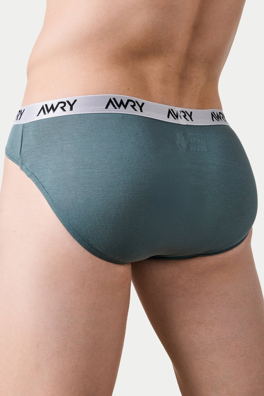 SIGNATURE Slip Briefs - Sage - AWRY
