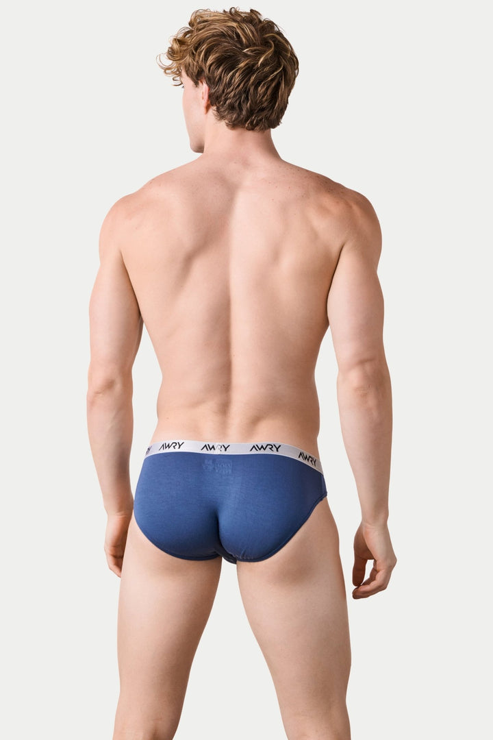 SIGNATURE Slip Briefs - Stone Blue - AWRY