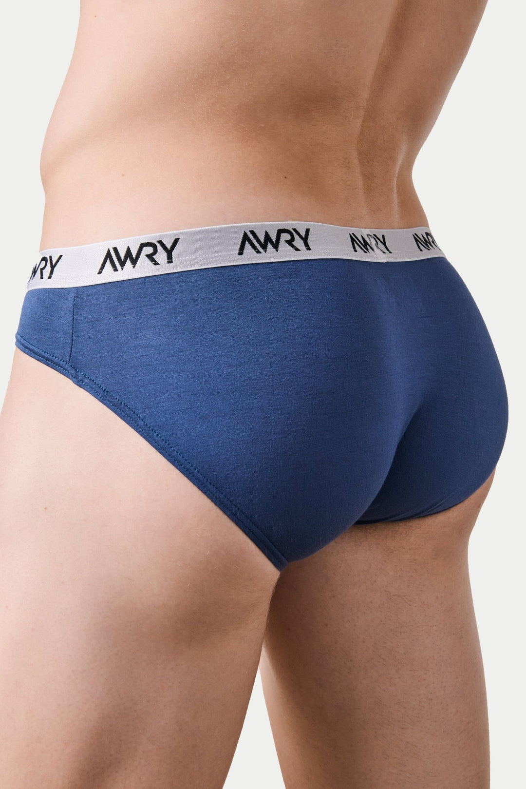 SIGNATURE Slip Briefs - Stone Blue - AWRY