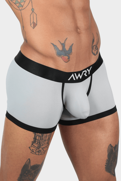 STANDOUT Trunks V2 - Gray - AWRY