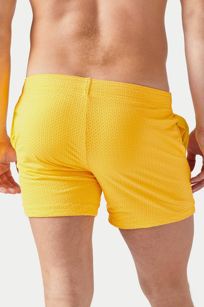 VARSITY Shorts - Amber - AWRY