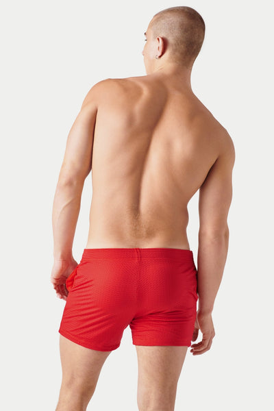 VARSITY Shorts - Red - AWRY