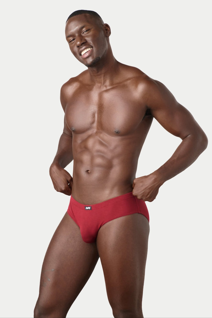ZERO Briefs - Maroon - AWRY